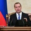 Медведев призвал все страны объединиться ради разгрома ИГ*