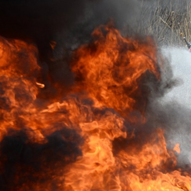 В двух районах Приамурья ввели режим ЧС в лесах из-за природных пожаров