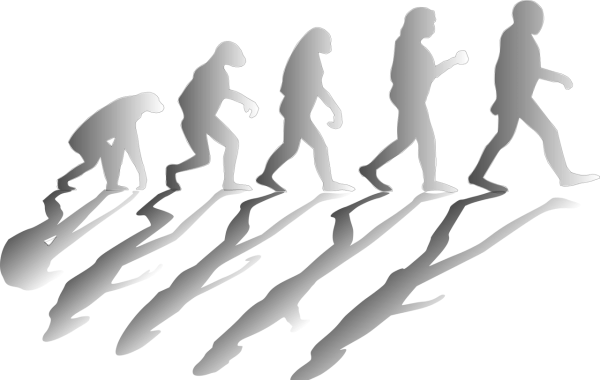 ТОП-5 интересных фактов об эволюции человека