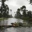 Тропический шторм "Филипп" сформировался над Кубой и идет на Флориду