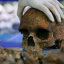 Найденная в Израиле челюсть может "удлинить" историю человека