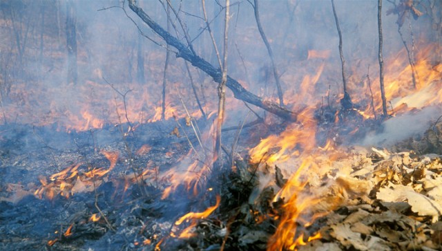 В Приамурье пожарные и спасатели 90 раз за сутки выезжали на тушение возгораний