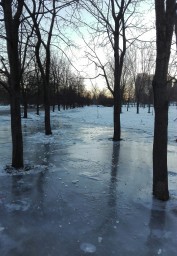 Парк во льду