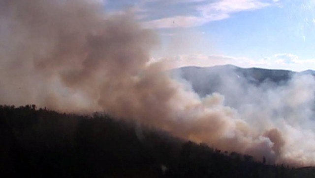Экстренные служба Приамурья успешно ведут борьбу с лесными пожарами