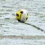 Снегопад не позволил "Ювентусу" провести матч чемпионата Италии