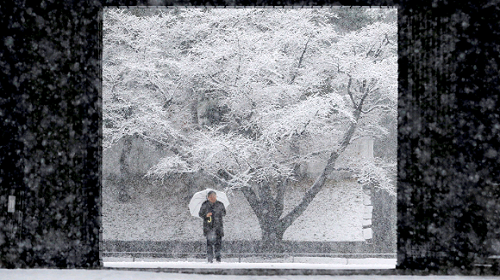 В Японии более 250 человек пострадали из-за снегопада