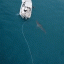 Разъяренная пятиметровая акула напала на австралийских рыбаков