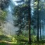 Описание сюжета фильма "Лес призраков" The Forest (2016) США