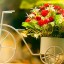 Посифлора – оптимизация цветочного бизнеса под ключ