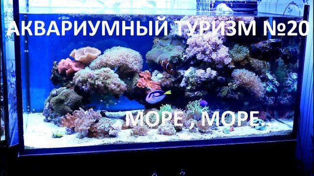 Аквариумный туризм№20 (Шикарный морской аквариум в городе Екатеринбург)