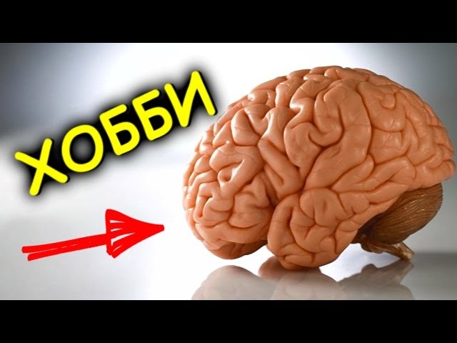 Хобби - Быстро Развивающие Интеллект [BrainShow]