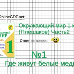 Скоро лето презентация 2 класс окружающий мир плешаков